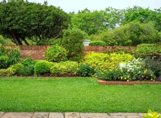 landscaping services Bellaire